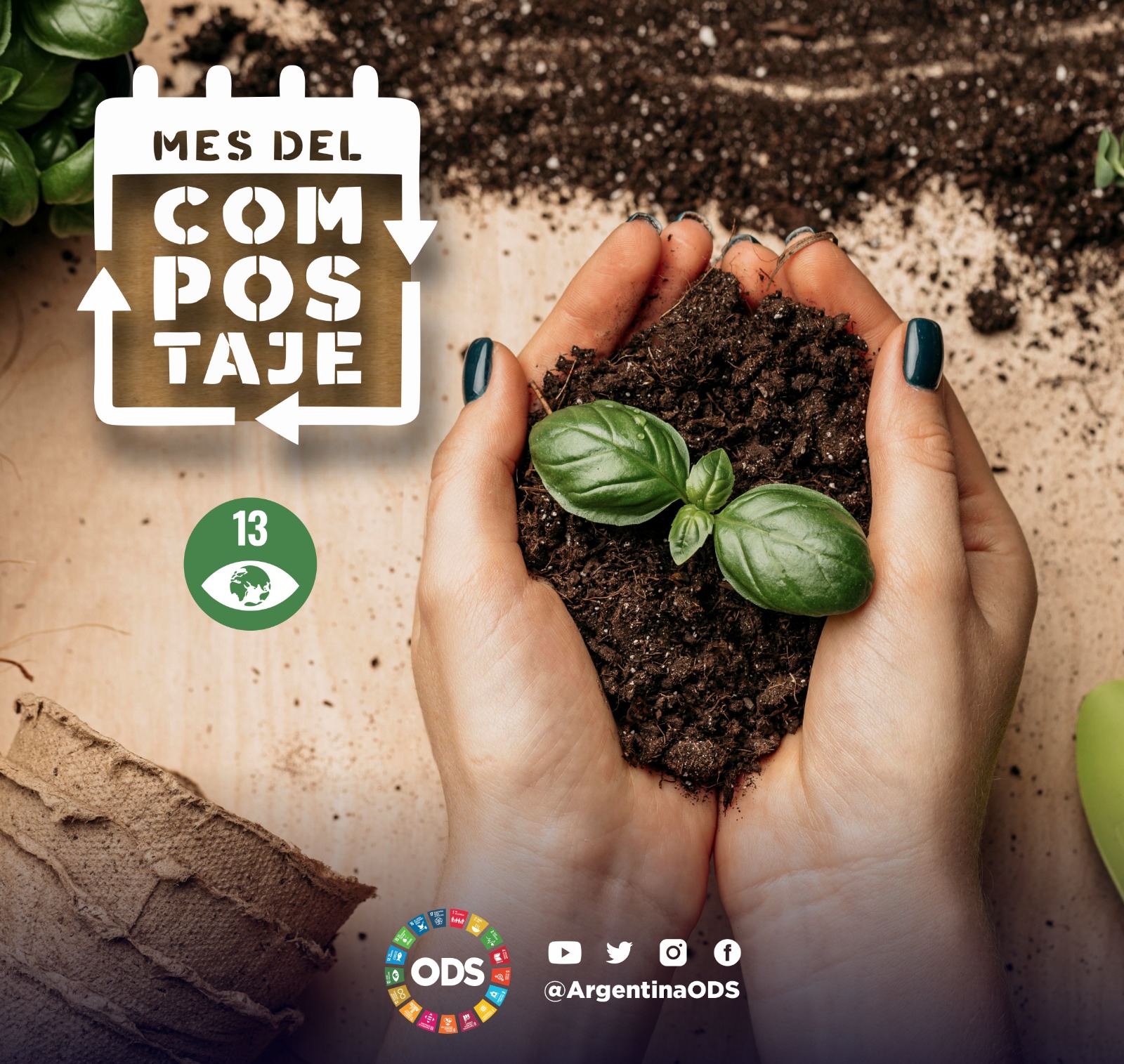 Imagen adicional